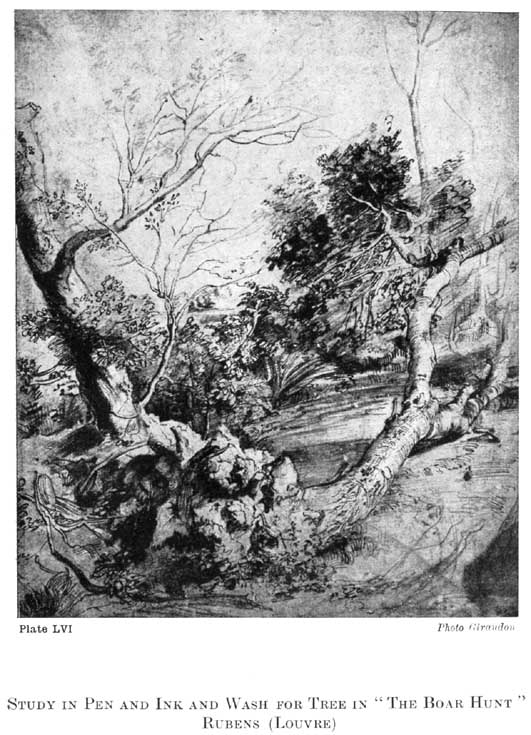 Plate LVI. Study in Pen and Ink and Wash for Tree in "the Boar Hunt" Rubens (Louvre) Photo Giraudon — A gnarled tree with a pale trunk leaning out across the drawing to the right from a mass of roots and rocks, with a second dark trunk on the left and bare branches and foliage above, drawn in pen with a wash.