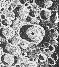 A part of the moon’s surface — A part of the moon's surface crowded with round craters of every size, some with a peak in the middle.