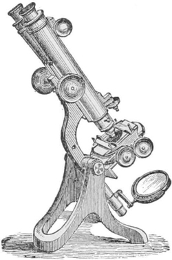 Binocular Microscope — A brass microscope on a heavy stand, with two eye-tubes side by side at the top and a round mirror below the stage to light the object.