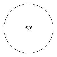 x and y coinciding as one circle.