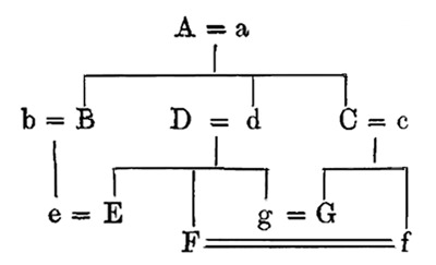 The family tree that makes one man all four relations at once — males in capitals, females in small letters, with the Governor as E and his single guest as C.