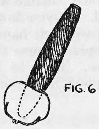 Fig. 6. — A large cigar standing upright in the opening of a small round purse, which is drawn with dotted lines to show the slit at the bottom.