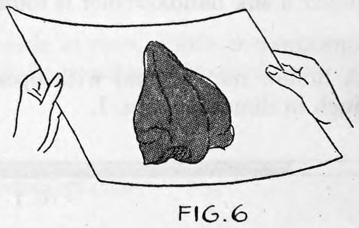 Fig. 6. — The paper unrolled and held open by both hands, showing the silk handkerchief lying in the middle of the sheet.