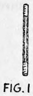 Fig. 1. — The small wand, about the size of a match but thicker, drawn upright with a ribbed end and its figure label beside it.