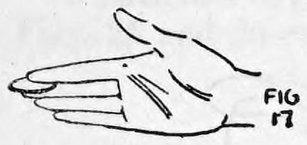 Fig. 17. — A right hand seen from the side, fingers extended and thumb apart, holding the coin in Finger Clip position to show the audience.