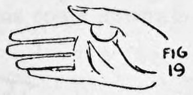 Fig. 19. — The right hand open with fingers extended and the coin hidden at the base of the thumb, the Front Thumb Palm seen from the front.