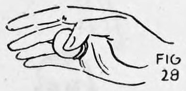 Fig. 28. — The right hand with the thumb over the palmed coins and the fingers opened out, a coin showing at the base of the thumb.