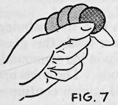 Fig. 7. — The left hand closed round the coins, which are held between thumb and index finger and fanned out for counting.