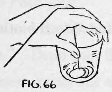 Fig. 66. — The left hand grips the top of the glass with the thread passing between its second and third fingers; coins lie at the bottom of the glass.