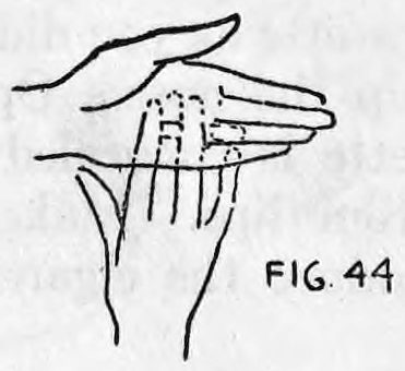 Fig. 44. — Right hand raised behind the left with the fingers straightened, the cigarette back in its original position between the first and second fingers.