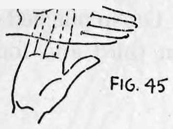 Fig. 45. — Right hand turned to show the empty palm to the audience, fingers spread slightly, the left hand beside it.