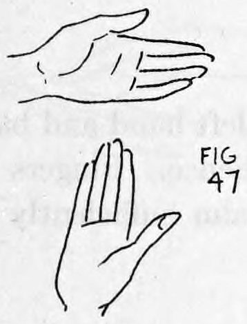 Fig. 47. — Hands separated and shown empty, one hand held palm up above the other held open with fingers upright.
