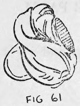 Fig. 61. — The Thumb Tip wrapped in the silk handkerchief, the free end tucked in, forming a small bundle.