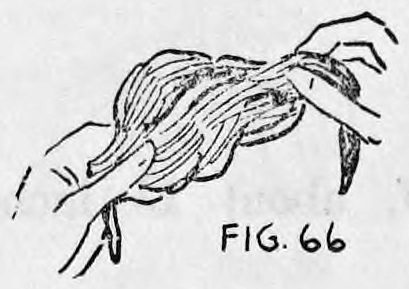 Fig. 66. — The silk handkerchief opened out from the left hand and held between the two hands to show to the audience.