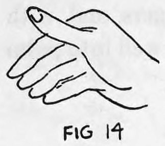 Fig. 14. — The hand turned toward the front with the fingers bent slightly in toward the palm.