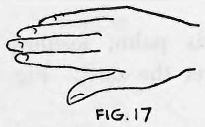 Fig. 17. — The hand held out with fingers straight and the back toward the audience, apparently empty.