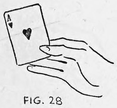 Fig. 28. — The produced card, an ace of hearts, shown upright between thumb and forefinger of the right hand, the other cards hidden behind the hand.