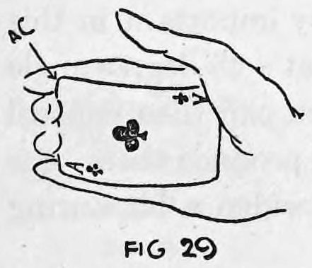 Fig. 29. — A hand with several cards palmed, the corner marked AC gripped in the ball of the forefinger.