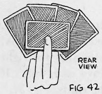 Fig. 42. — Rear view of the left hand holding the fanned cards, the concealed card held behind the fan by the second finger.