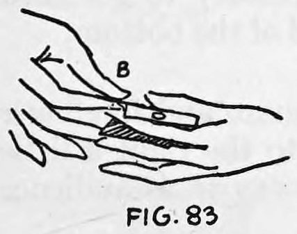 Fig. 83. — Close view of the same move, hands held horizontally, card B gripped between thumb and first finger of the right hand, card A in the left.