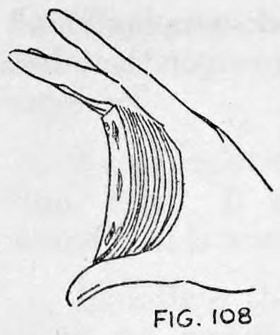 Fig. 108. — A hand seen from the side holds a curved pack of cards between thumb and second finger, the cards spread slightly apart.