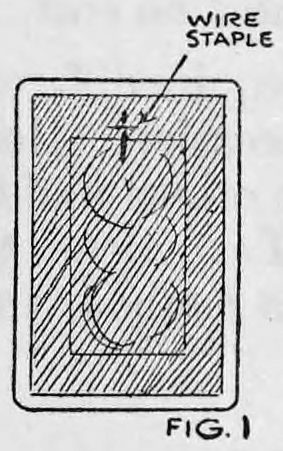 Fig. 1. — The face of the King of Clubs with the rubber band pushed through a hole near the top edge, a wire staple marked across the band.