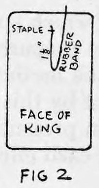 Fig. 2. — The face of the King with the rubber band, about one and a half inches long, stapled across near the top; the staple and rubber band are labelled.