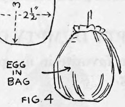 Fig. 4. — The bag drawn shut with the string pulled tight and the loose ends tucked inside, the egg shell inside it, labelled egg in bag.