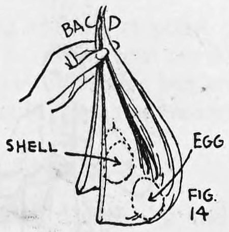 Fig. 14. — The handkerchief with all four corners held in the left hand; labels mark the back, the shell and the egg inside the hanging fold, with the bag behind it.
