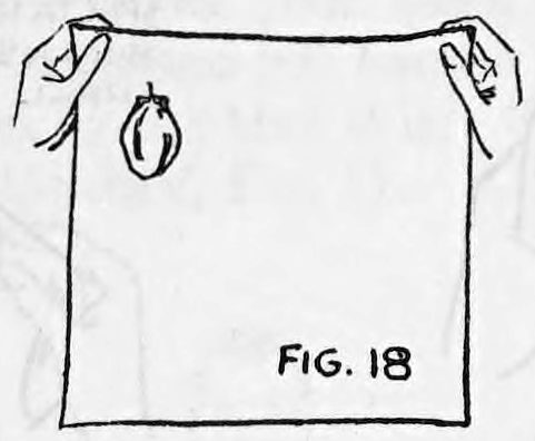 Fig. 18. — A handkerchief held spread out by its two top corners, seen from the performer's side, with the little bag sewn at its back near the upper left corner.