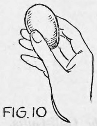 Fig. 10. — A hand seen from the side holding the egg upright between the tip of the first finger and the tip of the thumb.