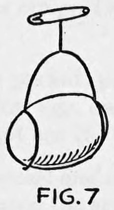 Fig. 7. — The wire egg holder with a safety pin at the top, with an egg clipped in it.