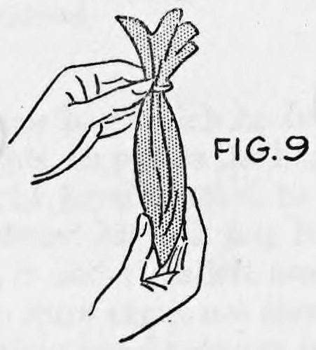 Fig. 9. — A hand gripping the bag gathered up like a closed bundle, the silk pushed through the ring and its top spreading out in a small fan.