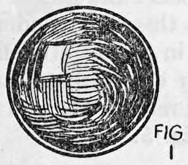 Fig. 1. — A solid wooden billiard ball seen from the front, shown as a round ball with swirling grain lines and a small light patch at the top.
