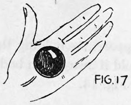 Fig. 17. — An open hand seen from above with a ball lying in the palm, shown as the ball palmed in the left hand.