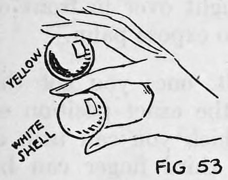 Fig. 53. — The right hand seen from the audience holds the yellow ball and the white shell between its fingers, one above the other, as two apparently solid balls.
