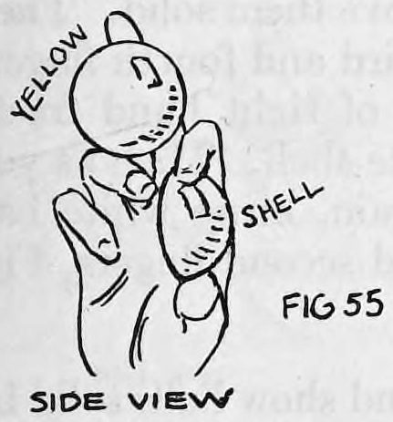 Fig. 55. — Side view of the hand away from the audience, with the yellow ball above and the shell below gripped between the fingers; labeled side view.