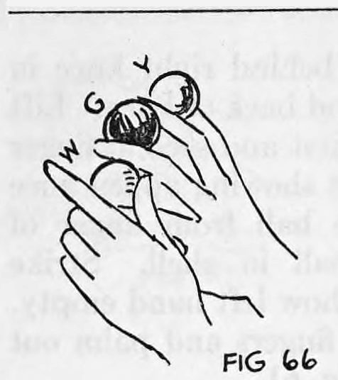 Fig. 66. — The right hand holds the yellow, green and white balls between its fingers while the left hand brings the red ball up to place it in the white shell.