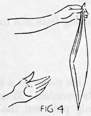 Fig. 4. — A hand holds a handkerchief hanging from its top, while the other hand, seen from the side, holds the concealed ball in its palm.