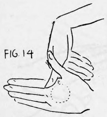 Fig. 14. — The right fingers curved inward and coming down behind the ball held in the left palm, which is shown by a dotted circle.
