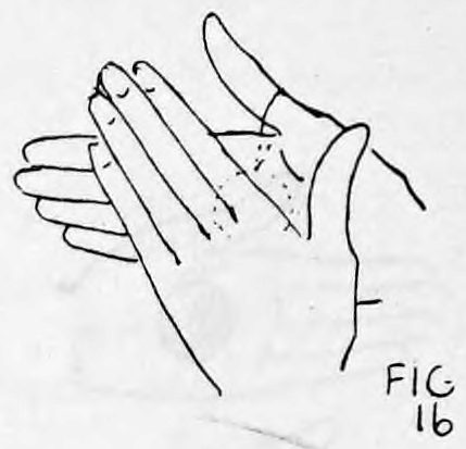 Fig. 16. — The right hand straightened with the ball now on its back, the left hand drawn aside, seen from the side.