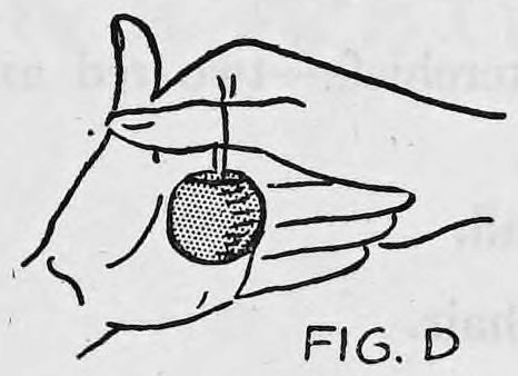 Fig. D. — The right fingers brought down in front of the left hand, with the ball hanging below on its thread.