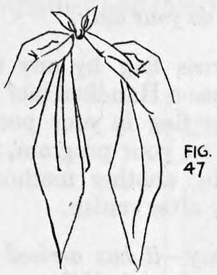 Fig. 47. — Two flags hang from a knot at the top, held by the left fingers and thumb, which cover the movements of the tying.