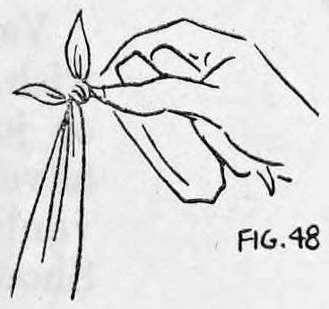 Fig. 48. — The right hand holds the knot with the folded Union Jack while the Irish flag hangs suspended below from the right fingers.