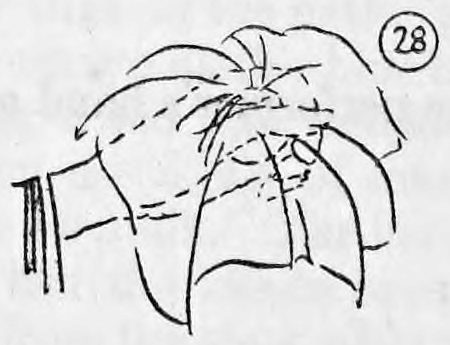 Fig. 28. — The silk spread over the left hand, with the right forefinger tucking the center of the silk into the ball's opening beneath.