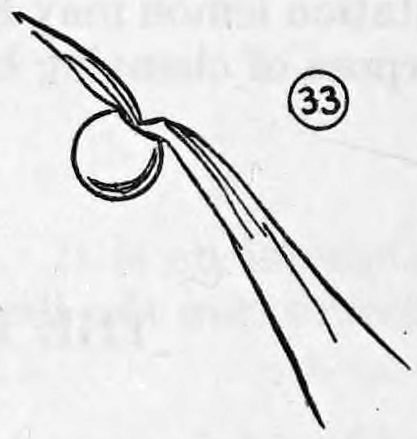 Fig. 33. — A hollow billiard ball with the tied silk tucked inside it and the opposite corner of the rainbow silk streaming out of the ball about three inches.