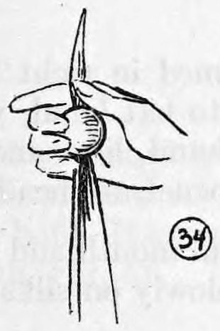 Fig. 34. — The right hand holds the blue silk with the ball inside the fist, back of the hand toward the audience, with the silk hanging down below the fingers.
