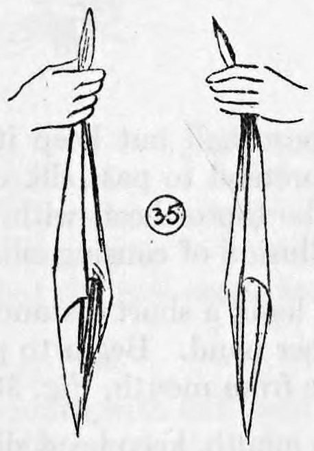 Fig. 35. — Both hands as the audience sees them: the left hand holds the green silk and the right hand holds the blue silk, hanging down, with no ball showing.