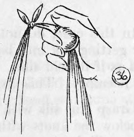 Fig. 36. — The right hand conceals the ball while the green silk is tied to the blue corner sticking out of it, the knotted silks hanging down.