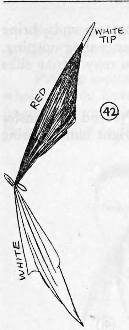 Fig. 42. — The prepared silk: a long red silk with a false white tip at its upper end, knotted at the lower end to a white silk; parts are labelled white tip, red and white.